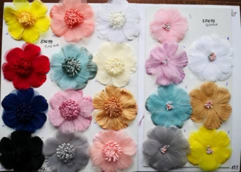 Accesorii Vestimentare