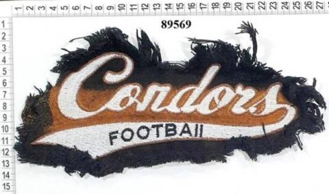 Accesorii Vestimentare