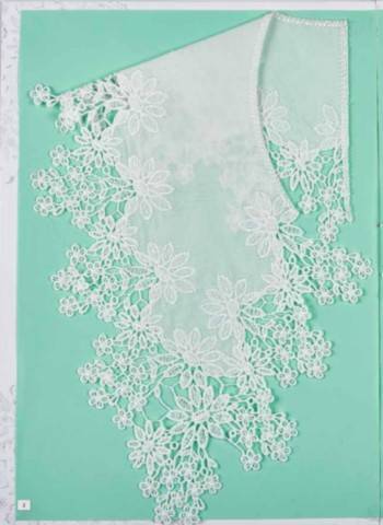 Accesorii Vestimentare