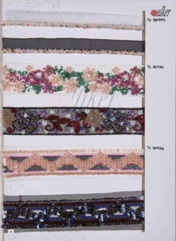 Accesorii Vestimentare