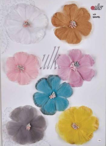 Accesorii Vestimentare