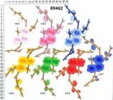 Accesorii Vestimentare