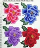 Accesorii Vestimentare